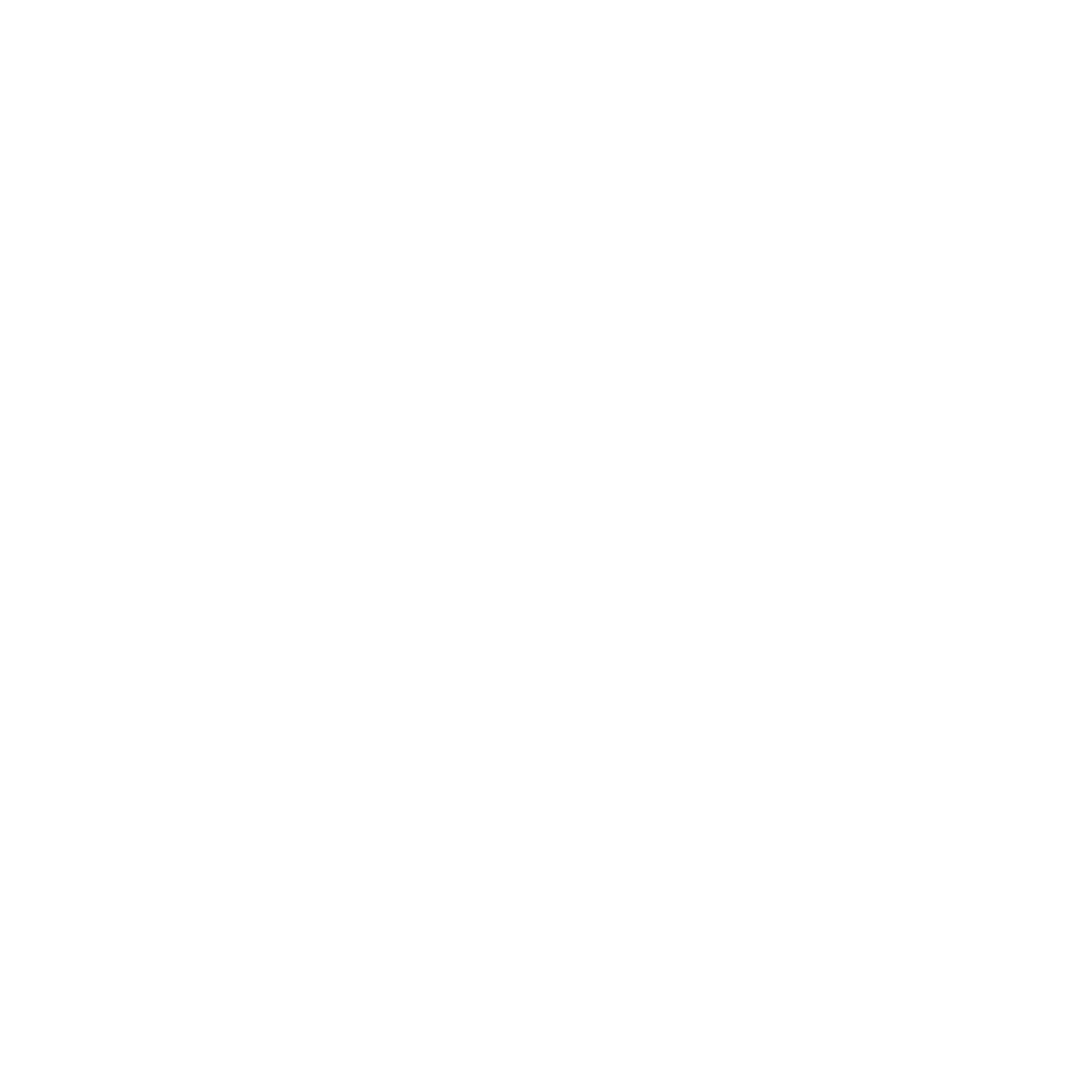 Logo-instagram-png-blanc 1